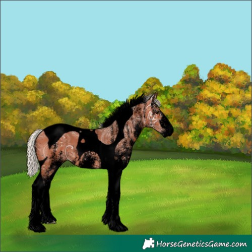 Horse Color:Void White Spotted Silver Bay Ice Tobiano 