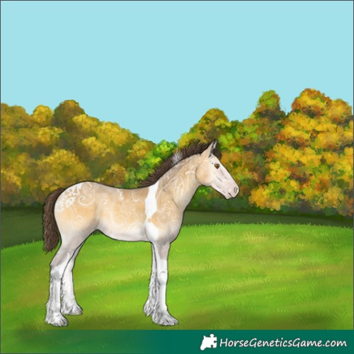 Horse Color:Sable Cream Champagne Ice Onyx Tobiano 