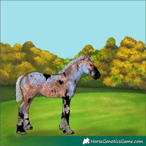 Horse Color:Void White Spotted Silver Bay Ice Tobiano 