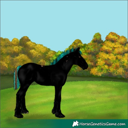 Horse Color:Void Painted White Spotted Chestnut Ice Snowcap 