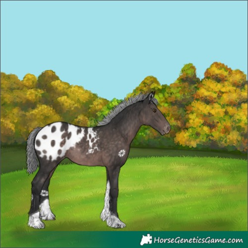 Horse Color:Platinum Liver Chestnut Mushroom Tobiano Blanket Rabicano 