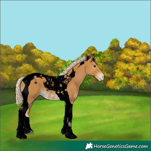 Horse Color:Void Palomino Tobiano Appaloosa Rabicano 