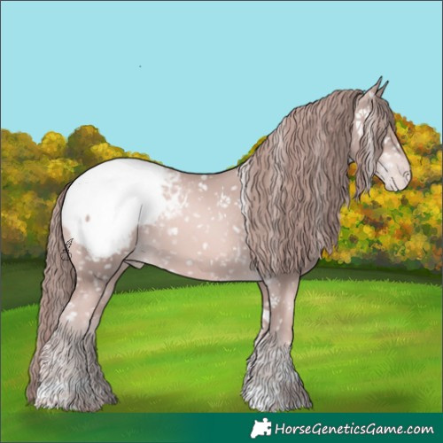 Horse Color:Platinum Gold Champagne Tobiano Appaloosa 