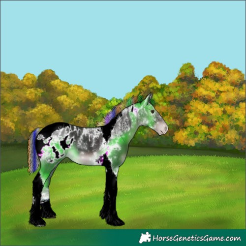 Horse Color:Platinum Painted Liver Chestnut Tobiano Appaloosa 