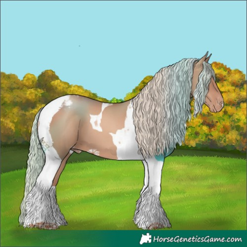 Horse Color:Gold Champagne Mushroom Tobiano Appaloosa 