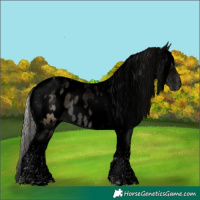 Horse Color:Void Chocolate Palomino Pearl Tobiano Near Leopard 