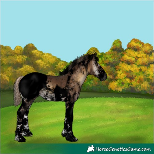 Horse Color:Void Chocolate Palomino Onyx Sabino Tobiano Snowcap Rabicano 