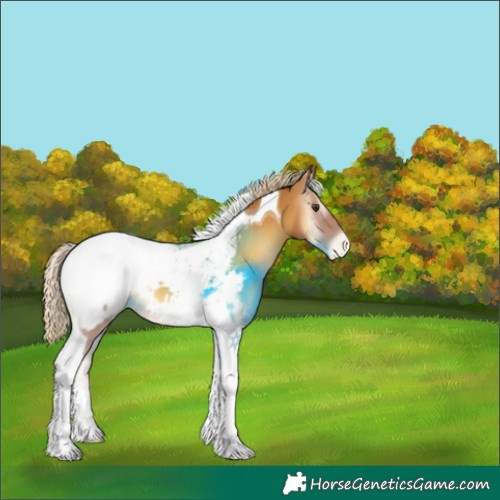 Horse Color:Palomino Onyx Tobiano Snowcap 