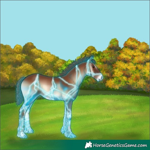 Horse Color:Thunderstruck Red Onyx 