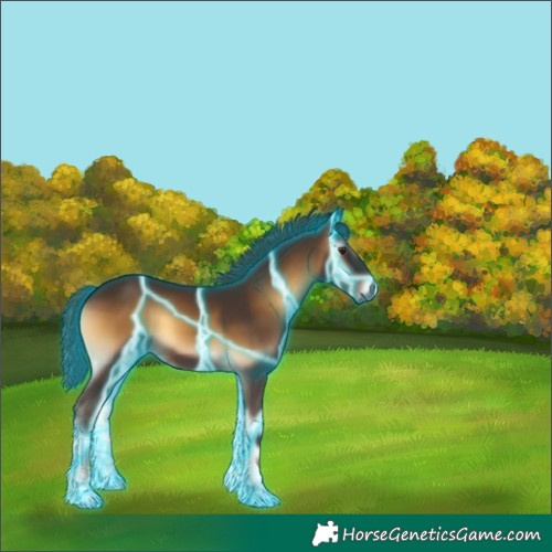 Horse Color:Gray Thunderstruck Red Onyx 
