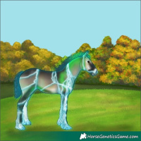 Horse Color:Gray Thunderstruck Blue Onyx 