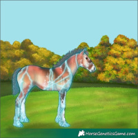 Horse Color:Gray Thunderstruck White Spotted Liver Red Onyx 