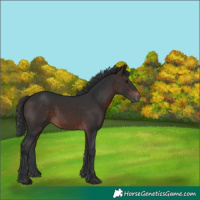 Horse Color:Brown Mushroom 