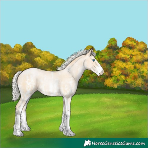 Horse Color:Silver Buckskin Pearl Sabino 