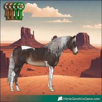 Horse Color:Silver Brown Tobiano 
