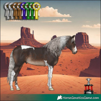 Horse Color:Silver Brown Tobiano 