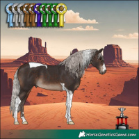 Horse Color:Silver Brown Tobiano 