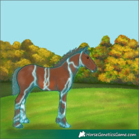 Horse Color:Void Thunderstruck Chestnut 