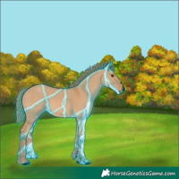 Horse Color:Void Thunderstruck Red Dun 