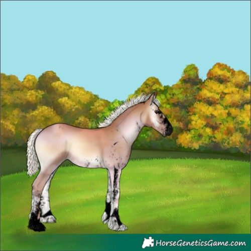 Horse Color:Void White Spotted Red Onyx Mushroom Appaloosa 