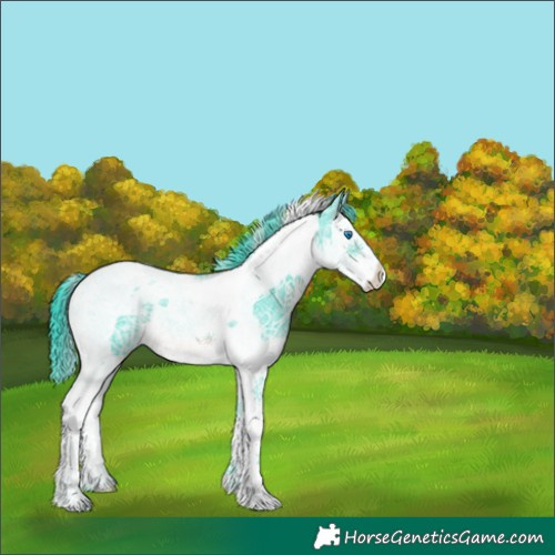 Horse Color:Watercolor Black Ice Sabino Splash Tobiano 