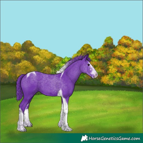 Horse Color:Watercolor Black Sabino Tobiano 