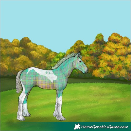 Horse Color:Gray Watercolor Plaid Silver Brown Tobiano