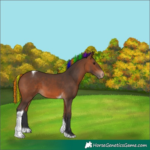 Horse Color:Painted Bay Tobiano Varnish 