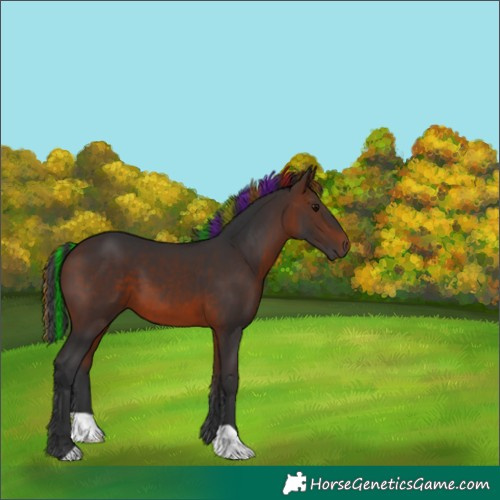 Horse Color:Painted Brown 