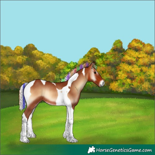 Horse Color:Painted Silver Bay Onyx Tobiano Rabicano 