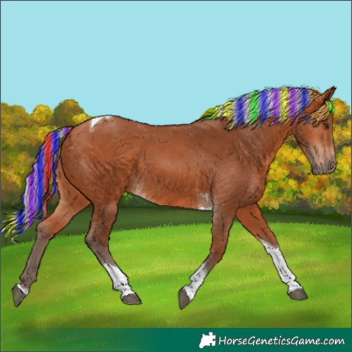 Horse Color:Painted Silver Bay Tobiano 