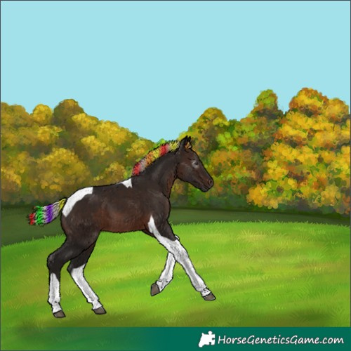 Horse Color:Gray Painted Silver Brown Tobiano 