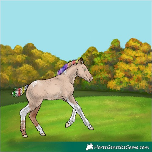 Horse Color:Painted Silver Sable Champagne Dun Tobiano 
