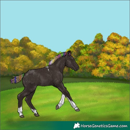 Horse Color:Painted Liver Chestnut Tobiano 