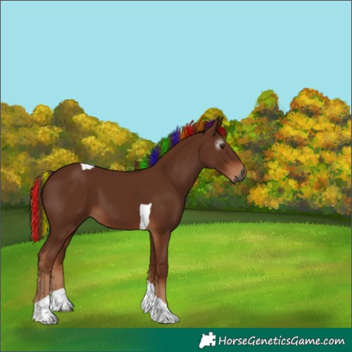 Horse Color:Gray Painted Chestnut Tobiano