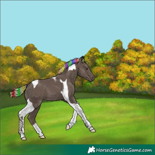 Horse Color:Painted Silver Black Tobiano 