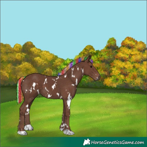 Horse Color:Painted White Spotted Silver Black 