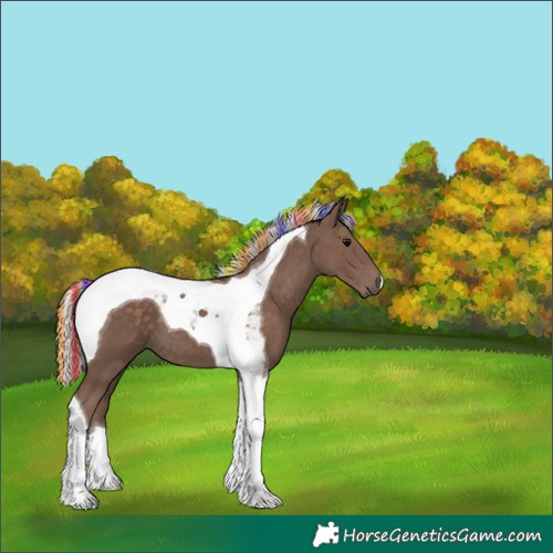 Horse Color:Painted Silver Black Tobiano 