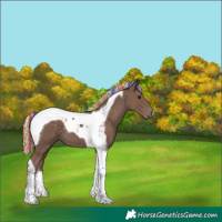 Horse Color:Painted Silver Black Tobiano 