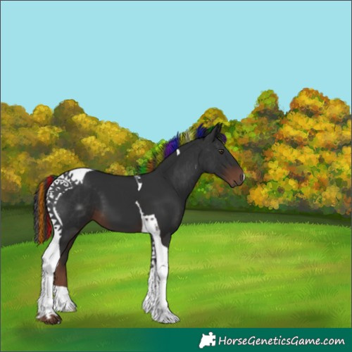 Horse Color:Painted Liver Chestnut Tobiano 