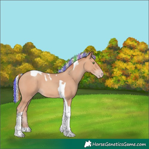 Horse Color:Painted Silver Amber Champagne Tobiano 