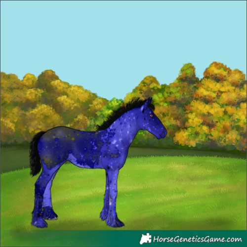 Horse Color:ERROR: UNKNOWN ANOMALY