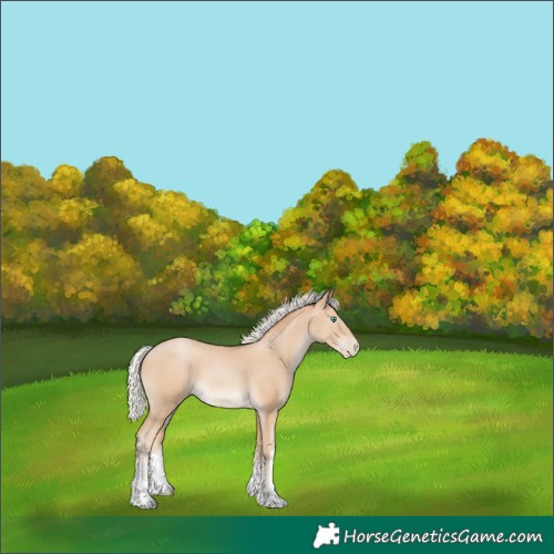 Horse Color:White Spotted Silver Smoky Black Pearl 