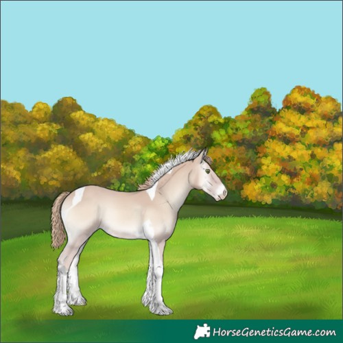 Horse Color:Smoky Creme Onyx Tobiano 