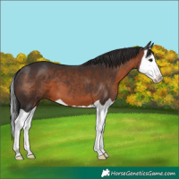 Horse Color:Brown Splash 