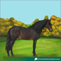 Horse Color:Brown 
