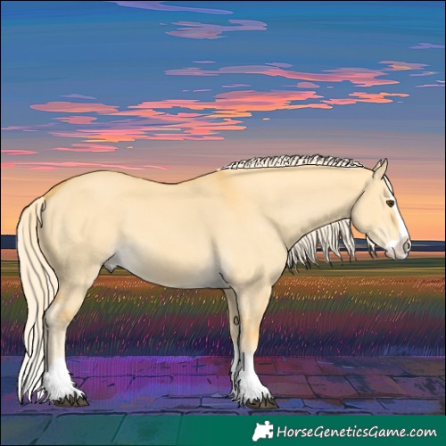 Horse Color:Palomino Dun Splash 