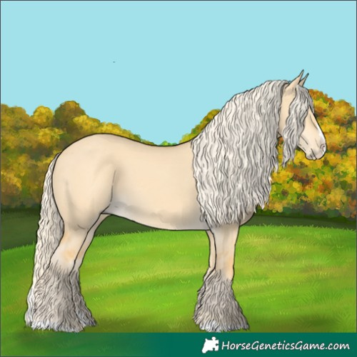 Horse Color:Palomino Dun Splash 