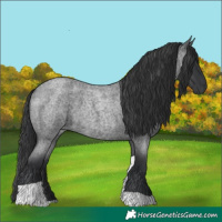 Horse Color:Blue Roan Tobiano 
