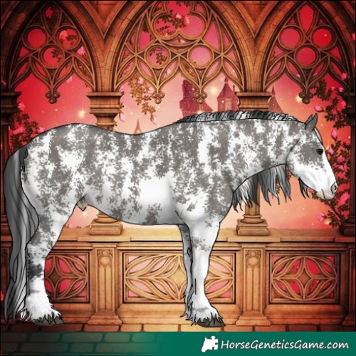 Horse Color:Grullo Sabino Rabicano 